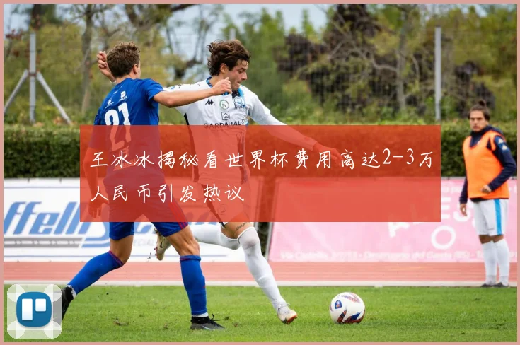 王冰冰揭秘看世界杯费用高达2-3万人民币引发热议