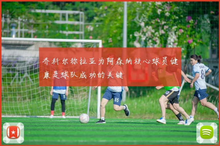 乔科尔称拉亚为阿森纳核心球员健康是球队成功的关键